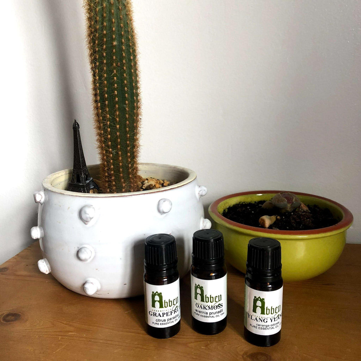 The best-kept secrets for maintaining your diffuser