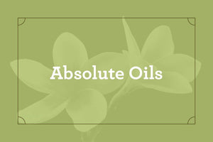 Absolute Oils - Abbey Essentials
