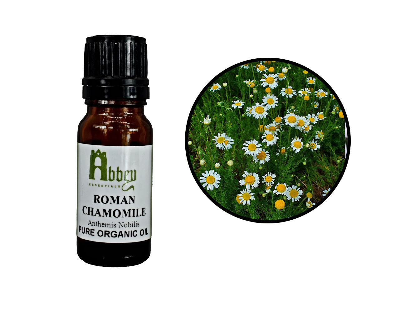 Rumianek rzymski organiczny