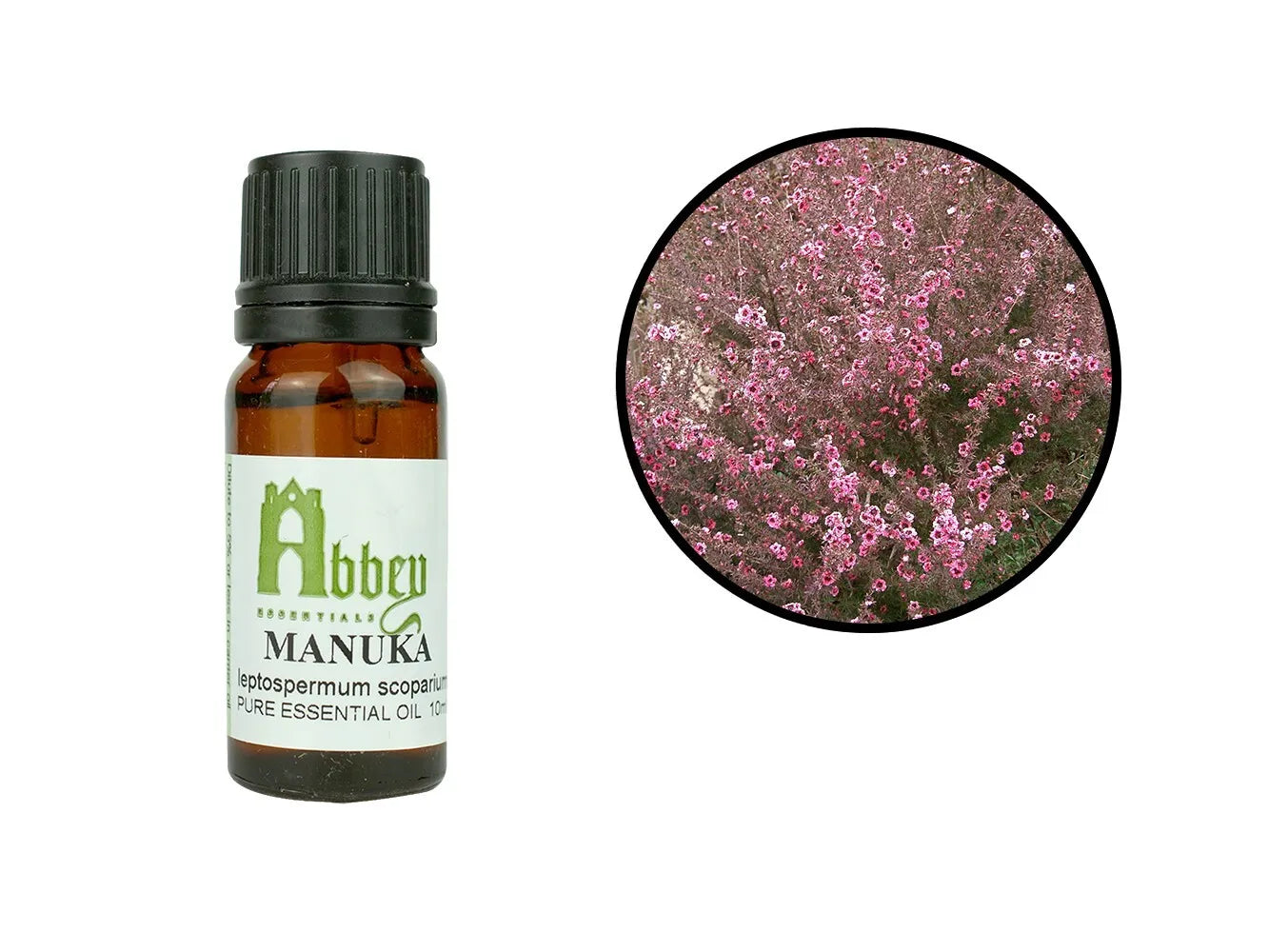 Olew Hanfodol Manuka