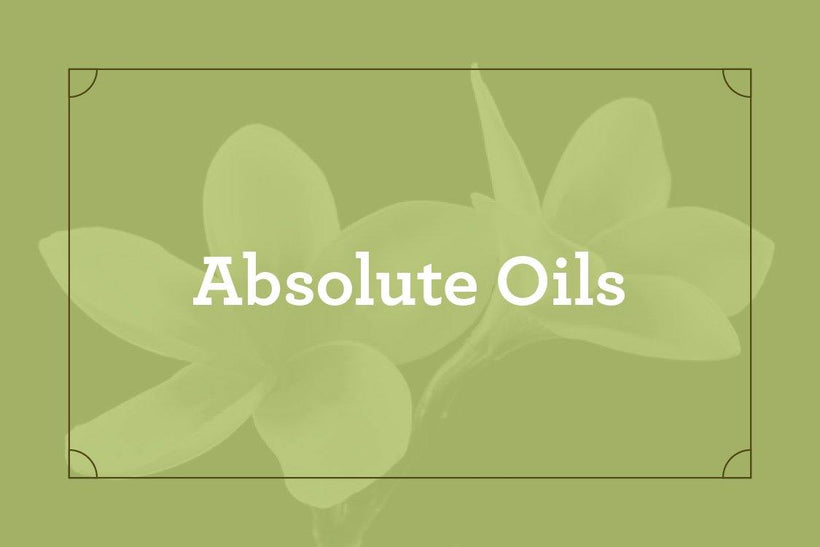 Absolute Oils