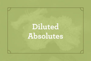 Diluted Absolutes - Abbey Essentials