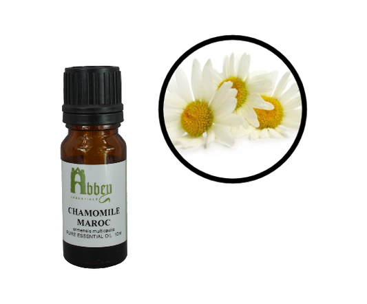 Chamomile Maroc Essential Oil