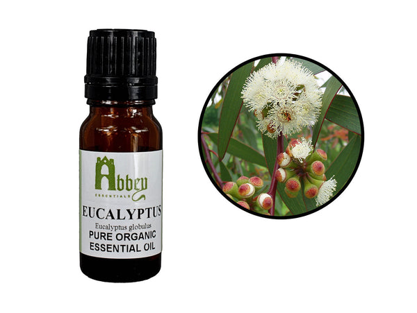 Eucalyptus Organic 5ml