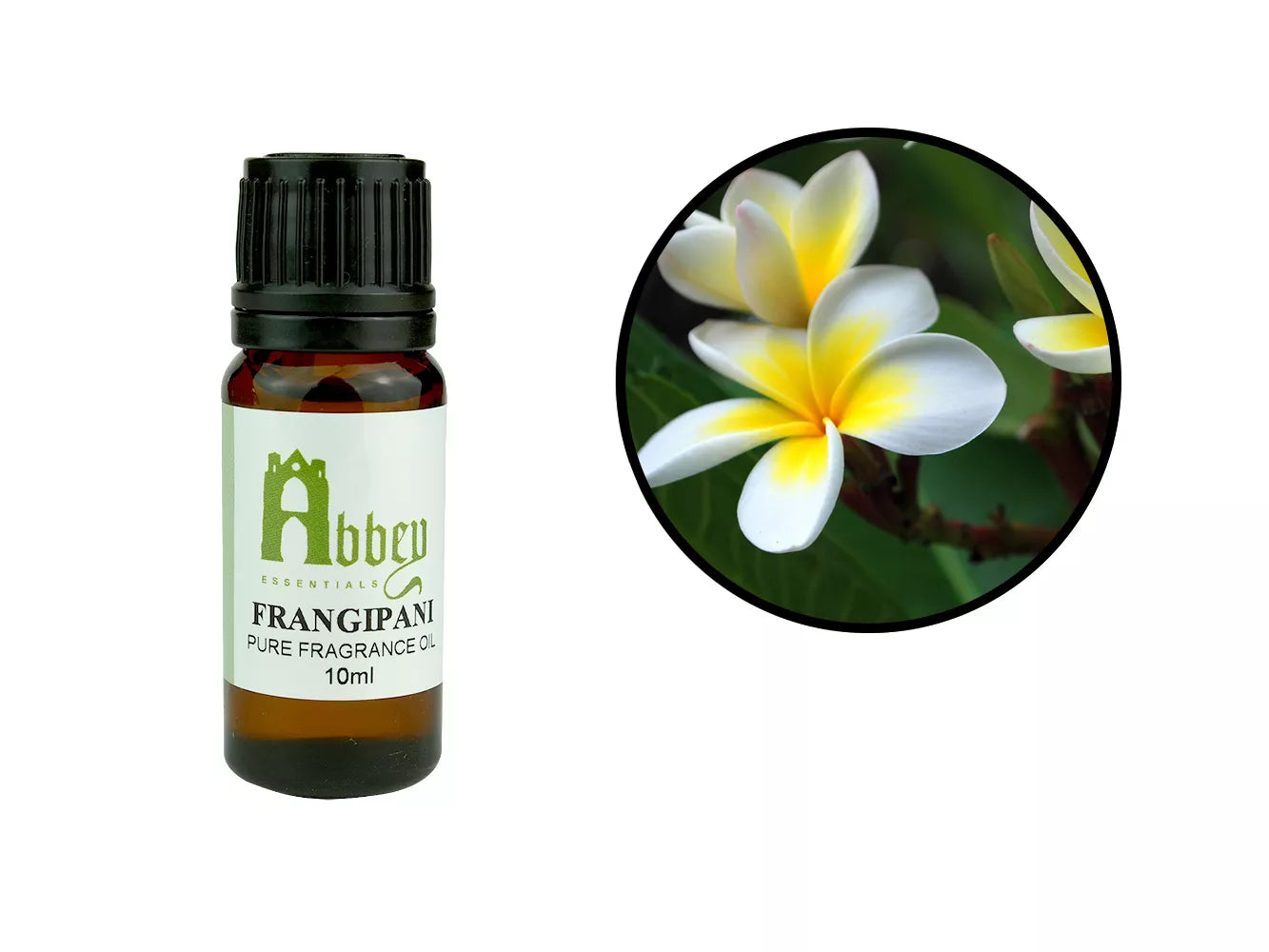 Fragrance Frangipani 10ml