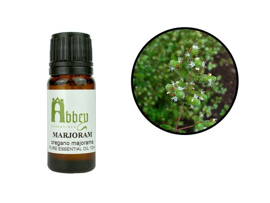 Marjoram (Sweet) Essential Oil