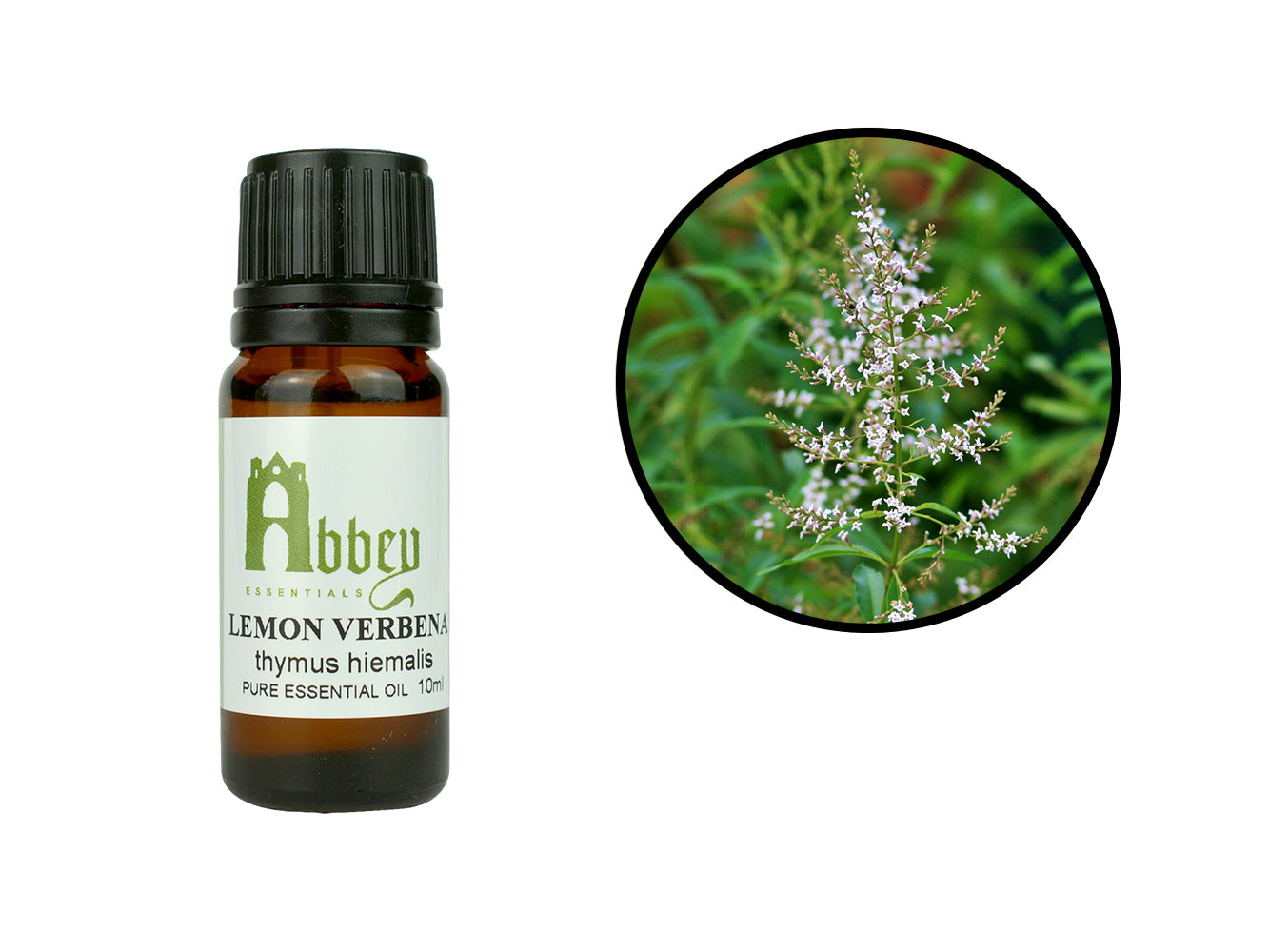 Lemon Verbena Essential Oil