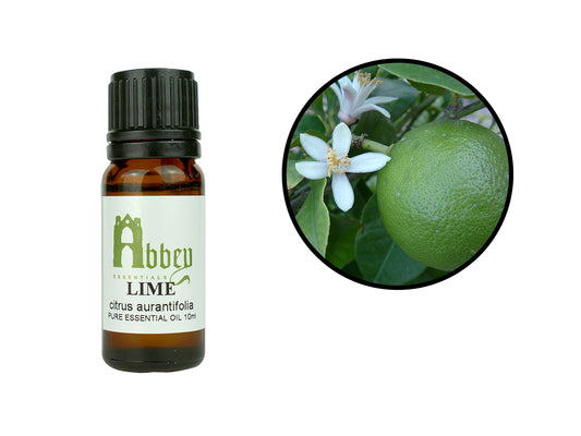 Lime Essential Oil