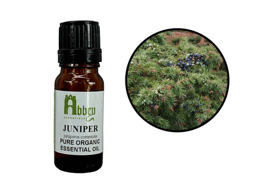 Juniper Berry Organic