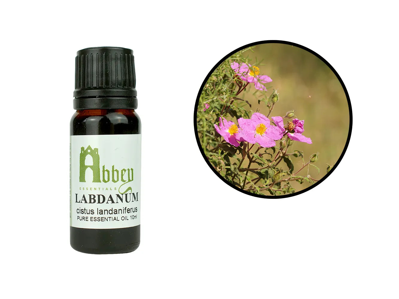 Labdanum Essential Oil