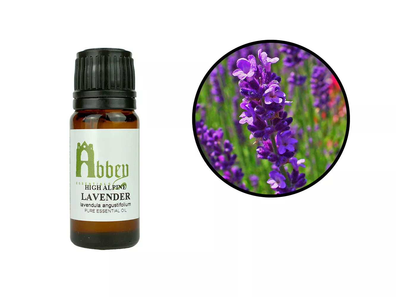 Lavender High Alpine Essential Oil