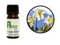 Narcissus Absolute Oil