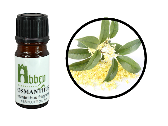 Osmanthus Absolute Oil