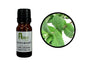 Peppermint Organic