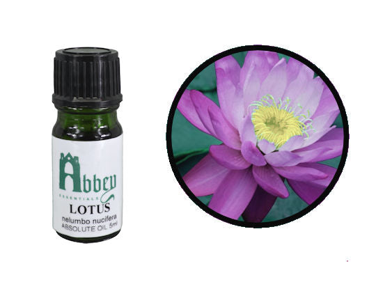 Pink Lotus Absolute Oil - Abbey Essentials