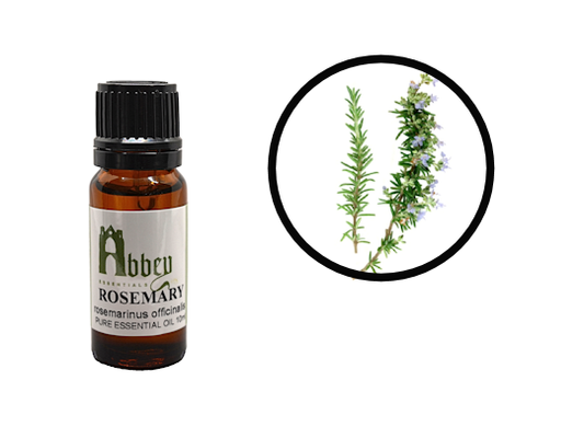 Rosemary Essential Oil