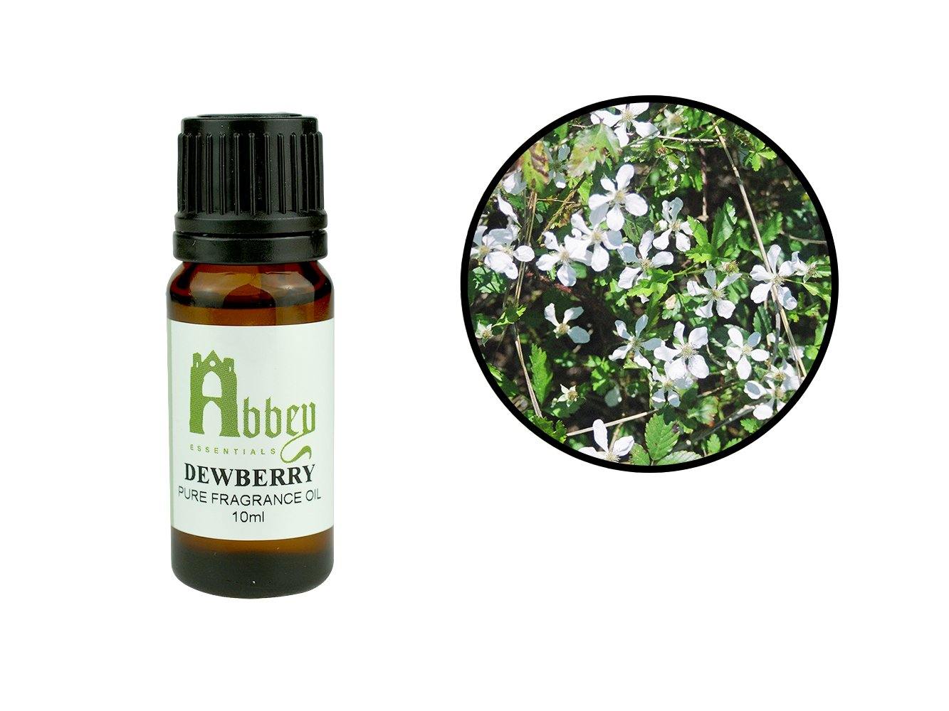 Dewberry Fragrance 10ml