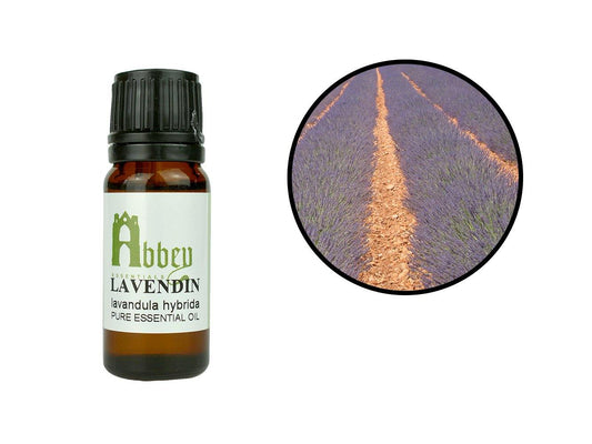 Lavendin Essential Oil