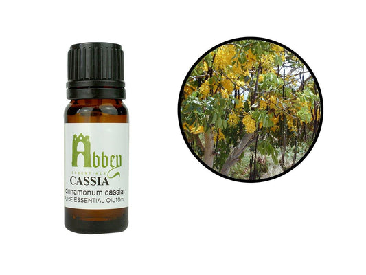 Cassia Essential Oil