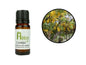 Cassia Essential Oil