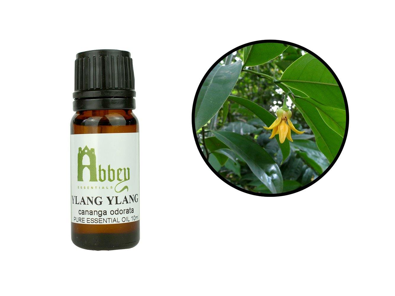 Ylang Ylang Essential Oil