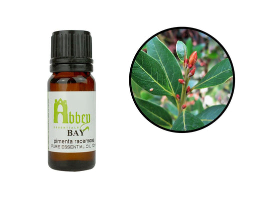 Bay Essential Oil