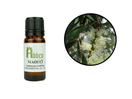 Niaouli Essential Oil