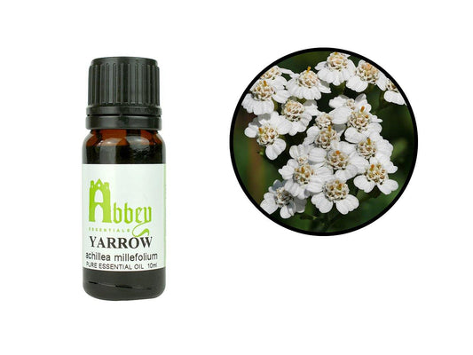 Yarrow Essential Oil