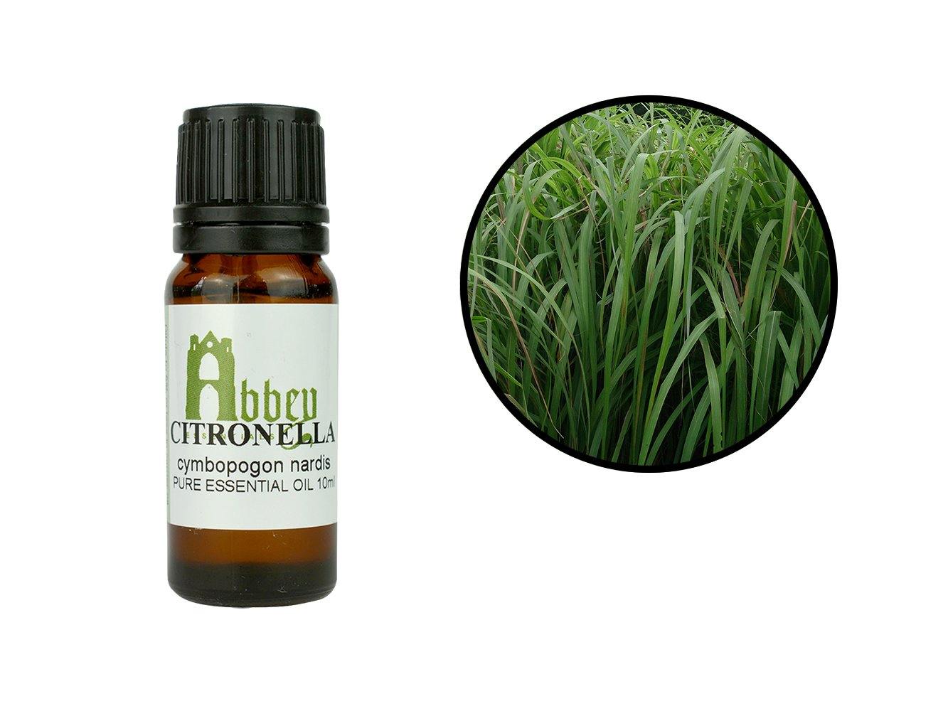 Citronella Essential Oil