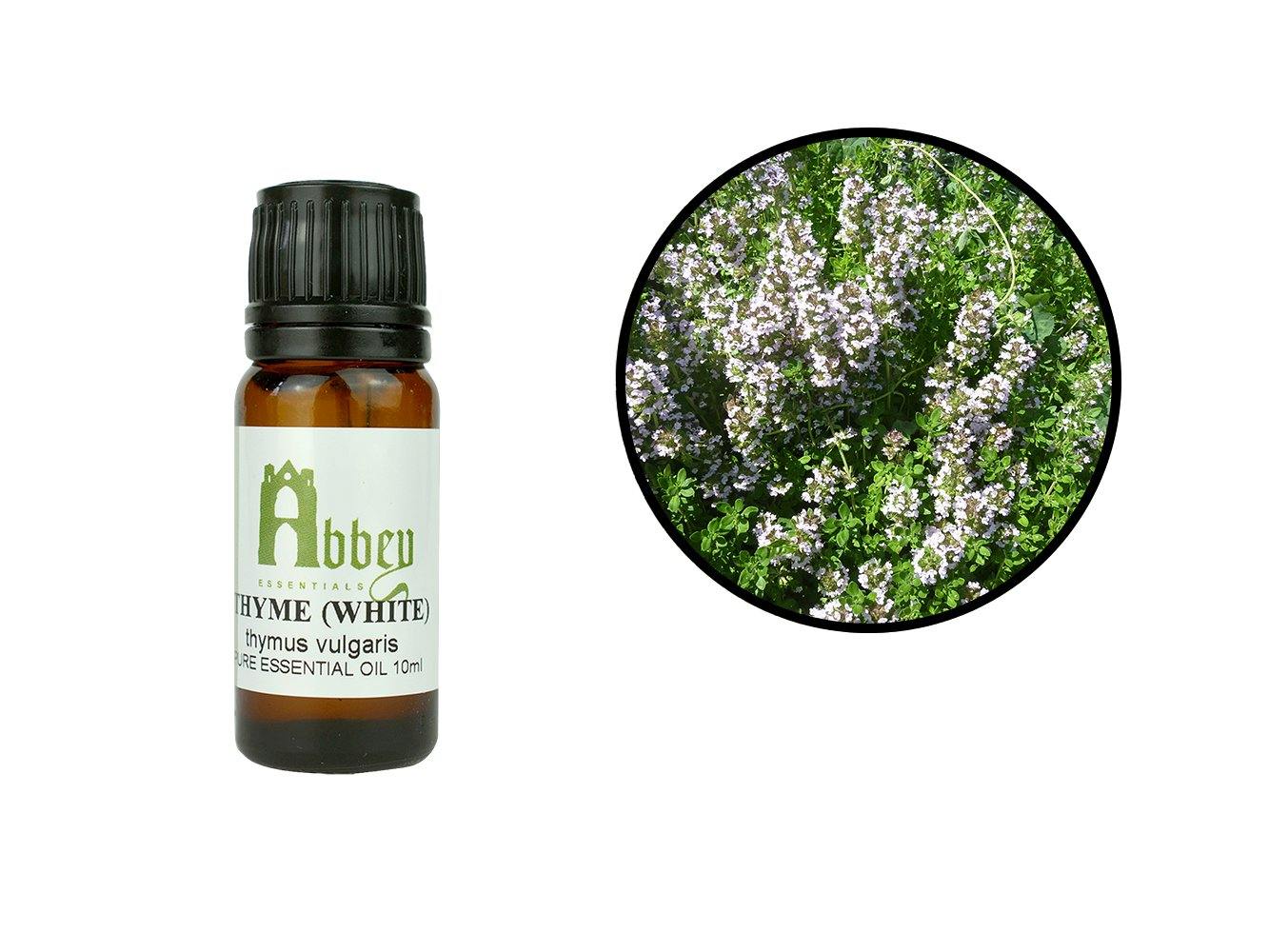 Thyme Organic 5ml