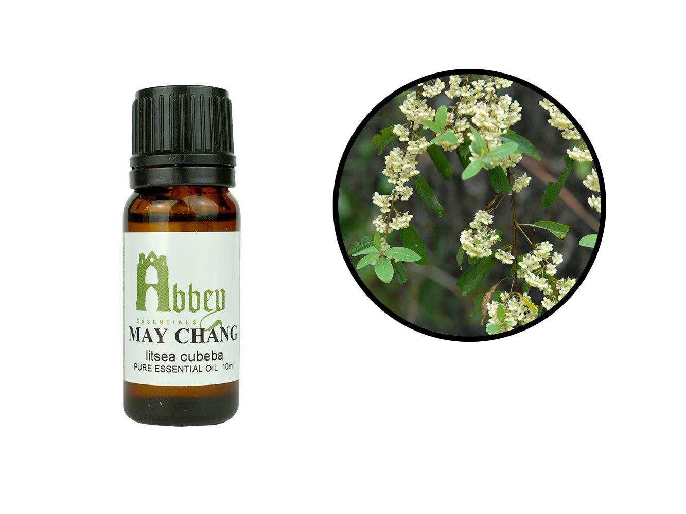 May Chang Essential Oil