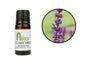 Clary Sage Essential Oil