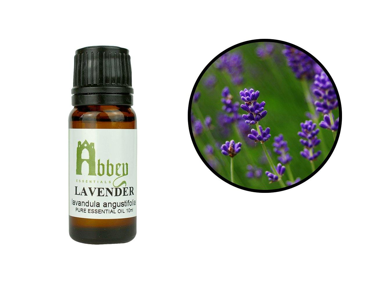 Lavender Essential Oil