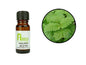 Melissa Essential Oil (10ml)