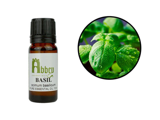 Basil Essential Oil