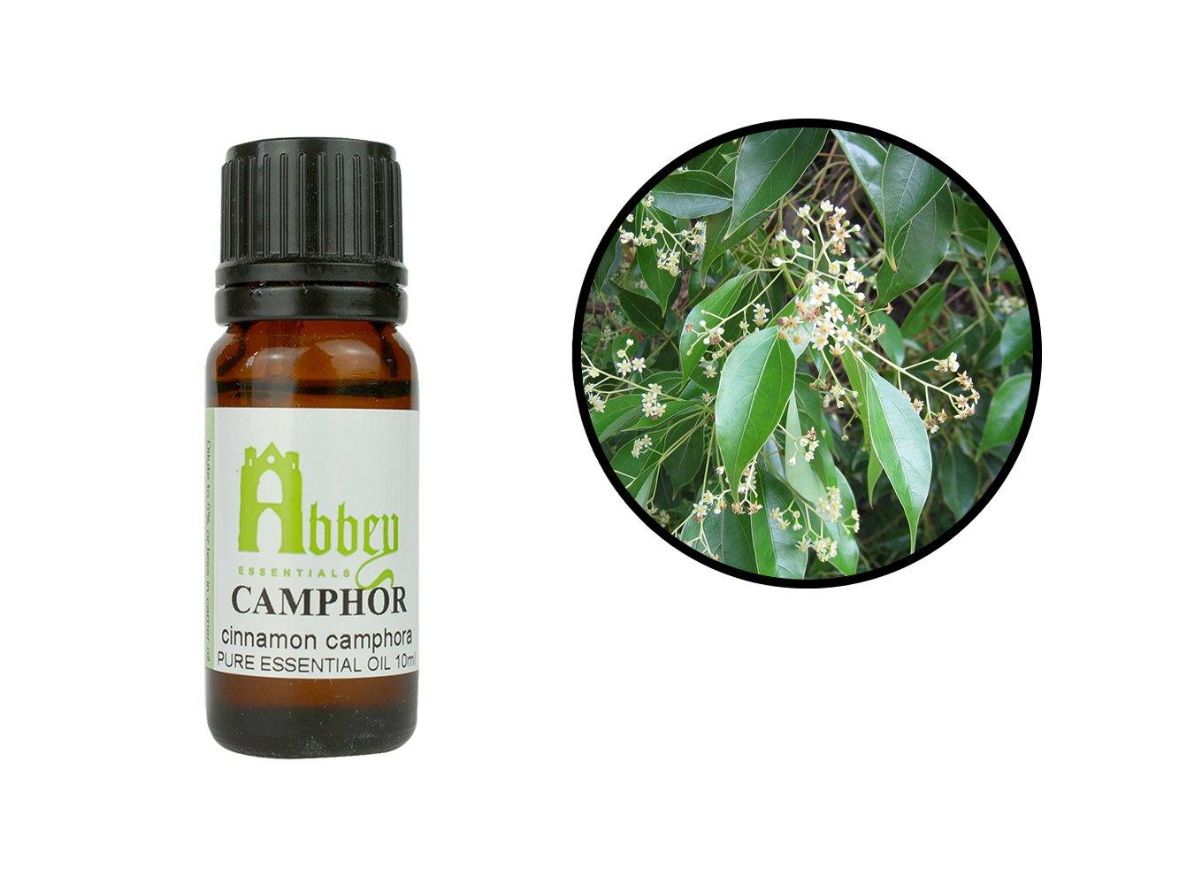 Camphor Essential Oil