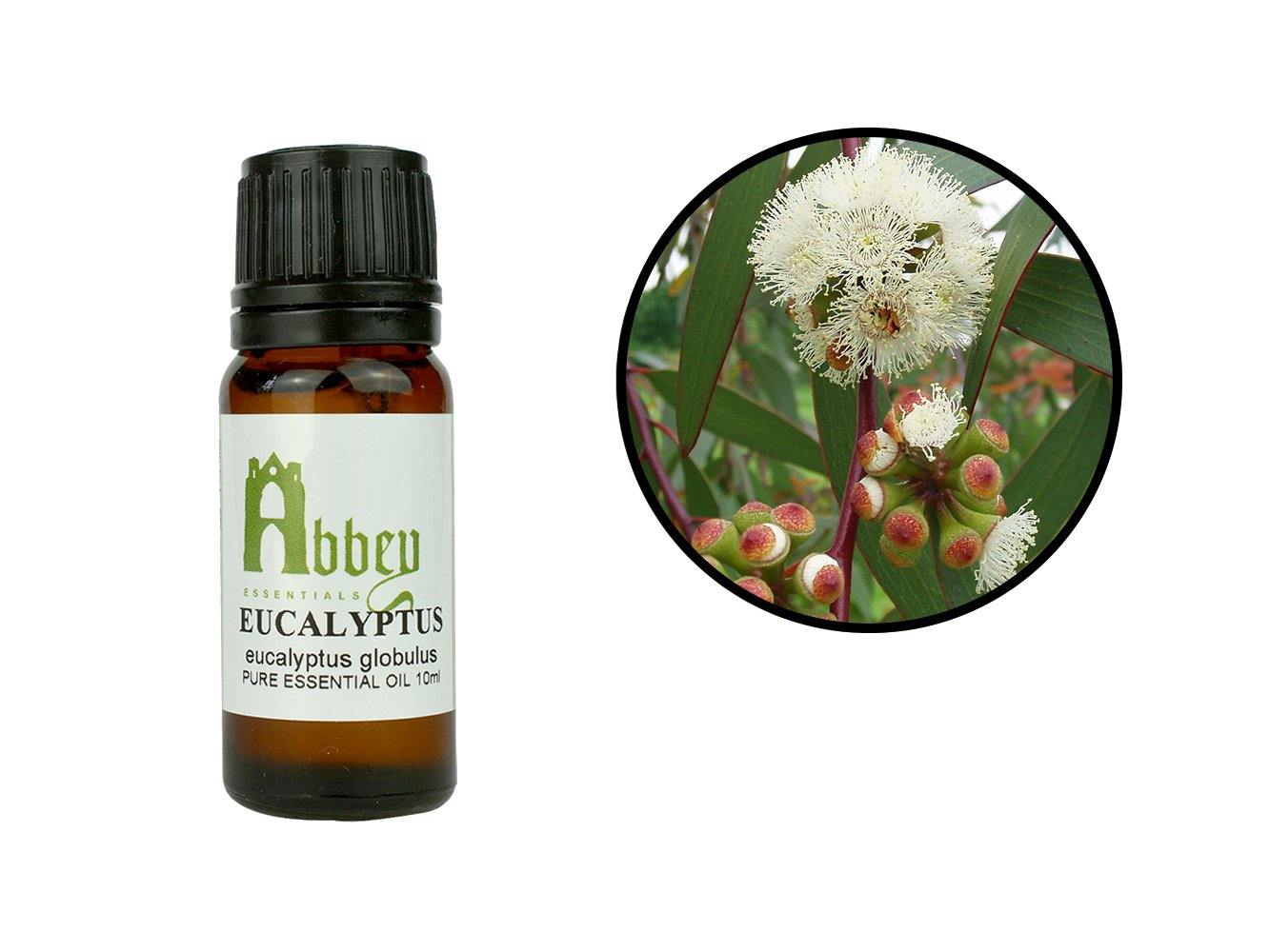 Eucalyptus Essential Oil