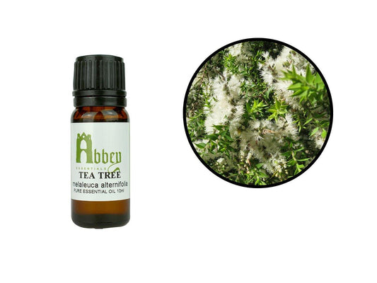 Tea Tree Essential Oil