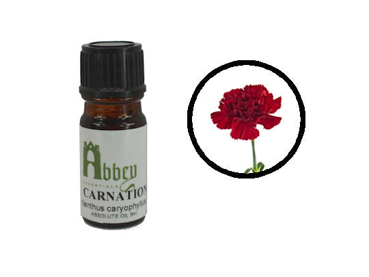 Carnation Fragrance 10ml - Abbey Essentials
