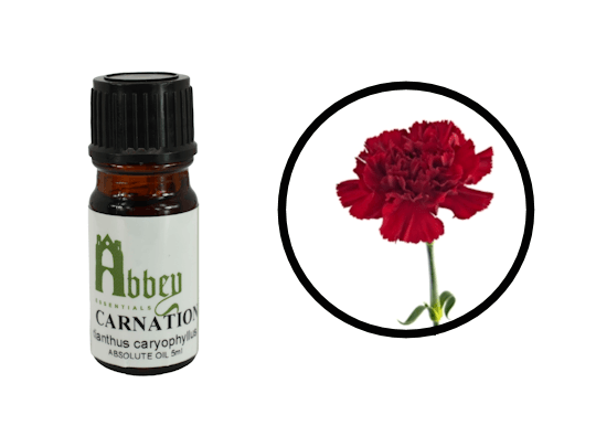 Carnation Absolute 5ml - Abbey Essentials
