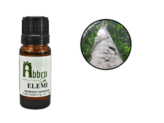 Elemi Essential Oil - Abbey Essentials