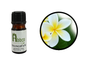 Frangipani Absolute Oil - Abbey Essentials