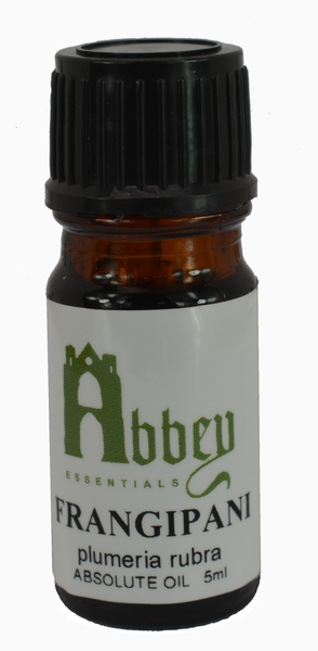 Frangipani Absolute Oil - Abbey Essentials