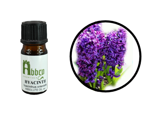 Hyacinth Absolute 5ml - Abbey Essentials