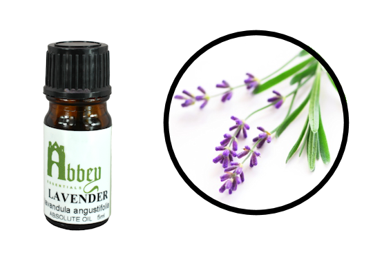 Lavender Absolute Oil - Abbey Essentials