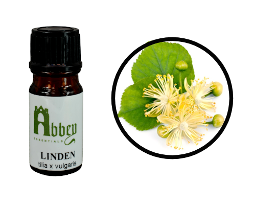 Linden Absolute 5ml - Abbey Essentials