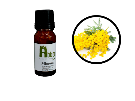 Mimosa Absolute Oil - Abbey Essentials