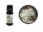 Oakmoss Essential Oil - Abbey Essentials