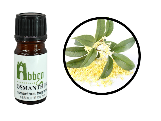 Osmanthus Absolute Oil - Abbey Essentials