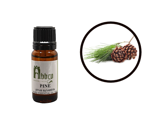 Rosemary Essential Oil - Abbey Essentials